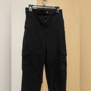 Aritzia Wilfred Free cargo pants